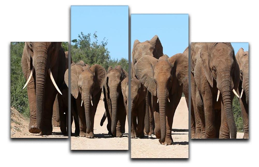 Family herd of African elephants on the move 4 Split Panel Canvas - Canvas Art Rocks - 1
