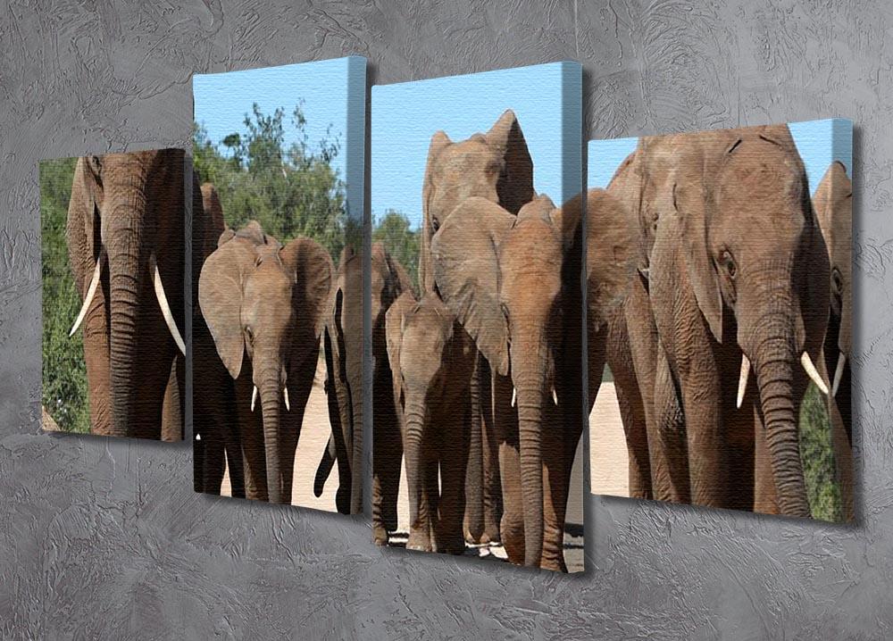 Family herd of African elephants on the move 4 Split Panel Canvas - Canvas Art Rocks - 2