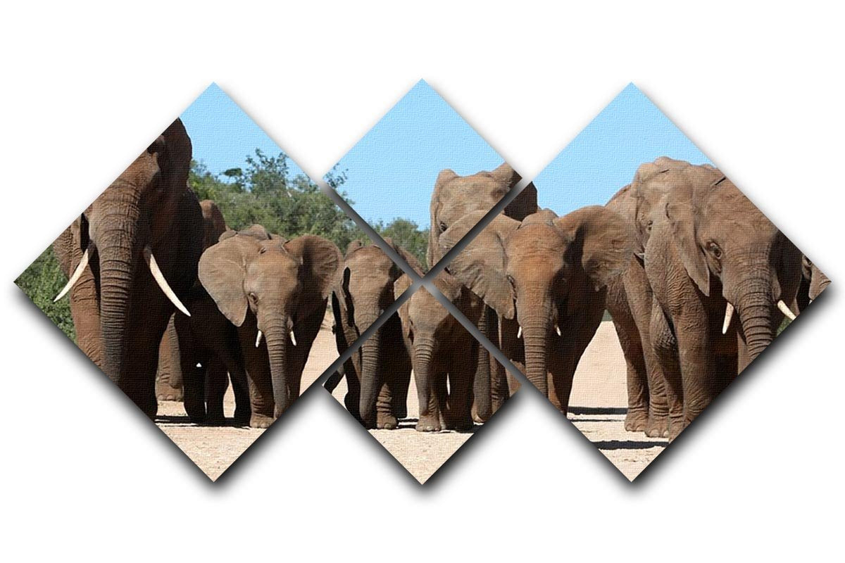 Family herd of African elephants on the move 4 Square Multi Panel Canvas - Canvas Art Rocks - 1