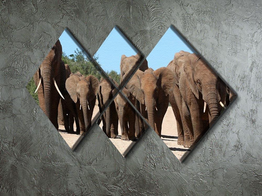 Family herd of African elephants on the move 4 Square Multi Panel Canvas - Canvas Art Rocks - 2
