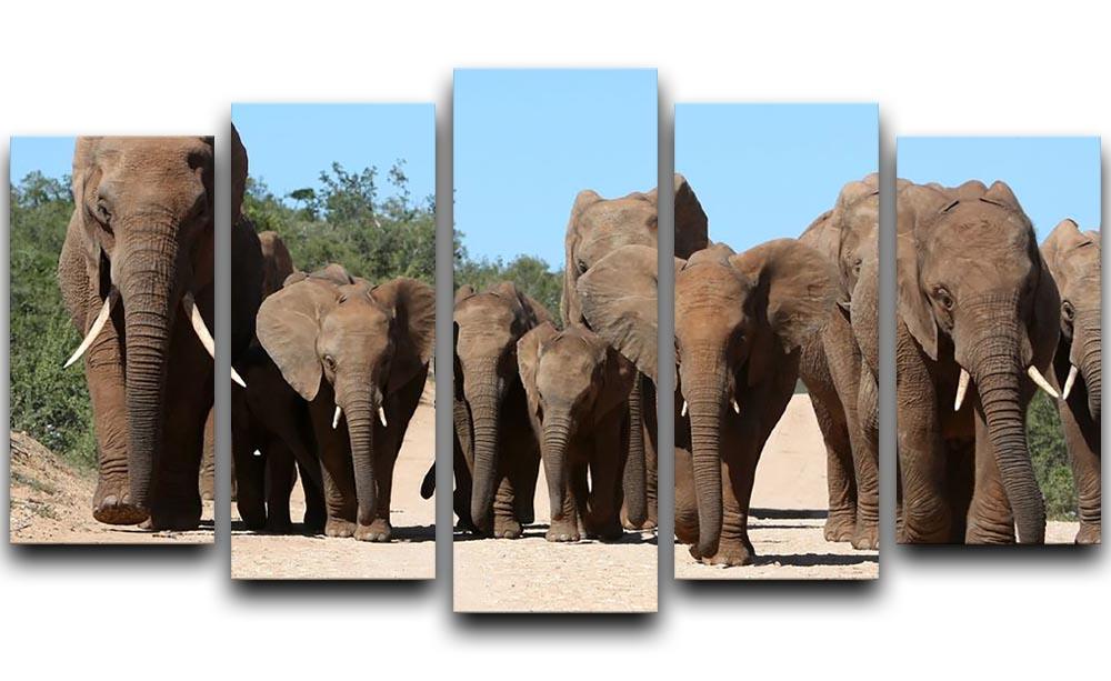 Family herd of African elephants on the move 5 Split Panel Canvas - Canvas Art Rocks - 1