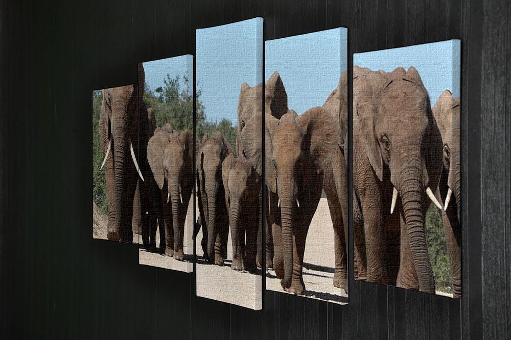 Family herd of African elephants on the move 5 Split Panel Canvas - Canvas Art Rocks - 2