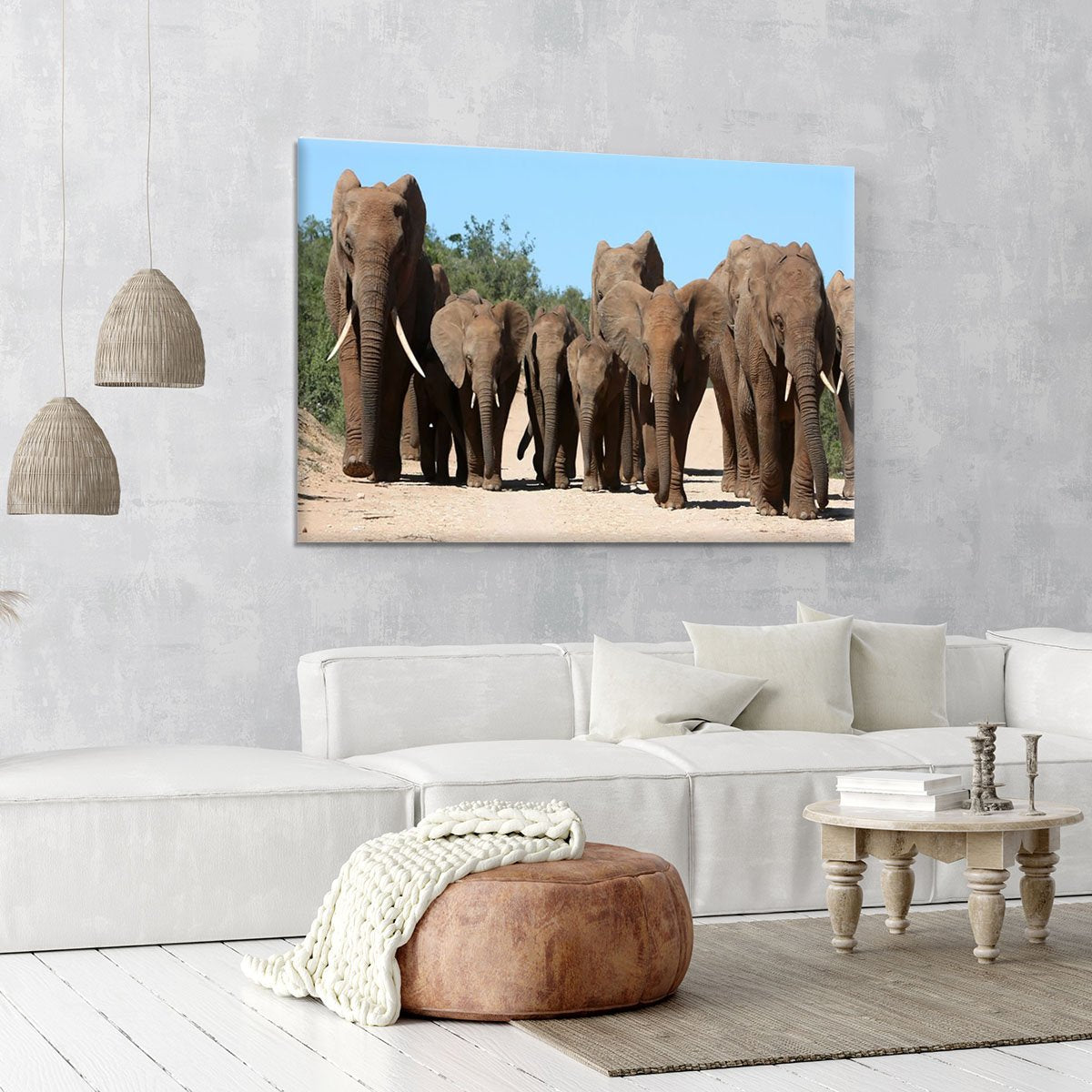 Family herd of African elephants on the move Canvas Print or Poster