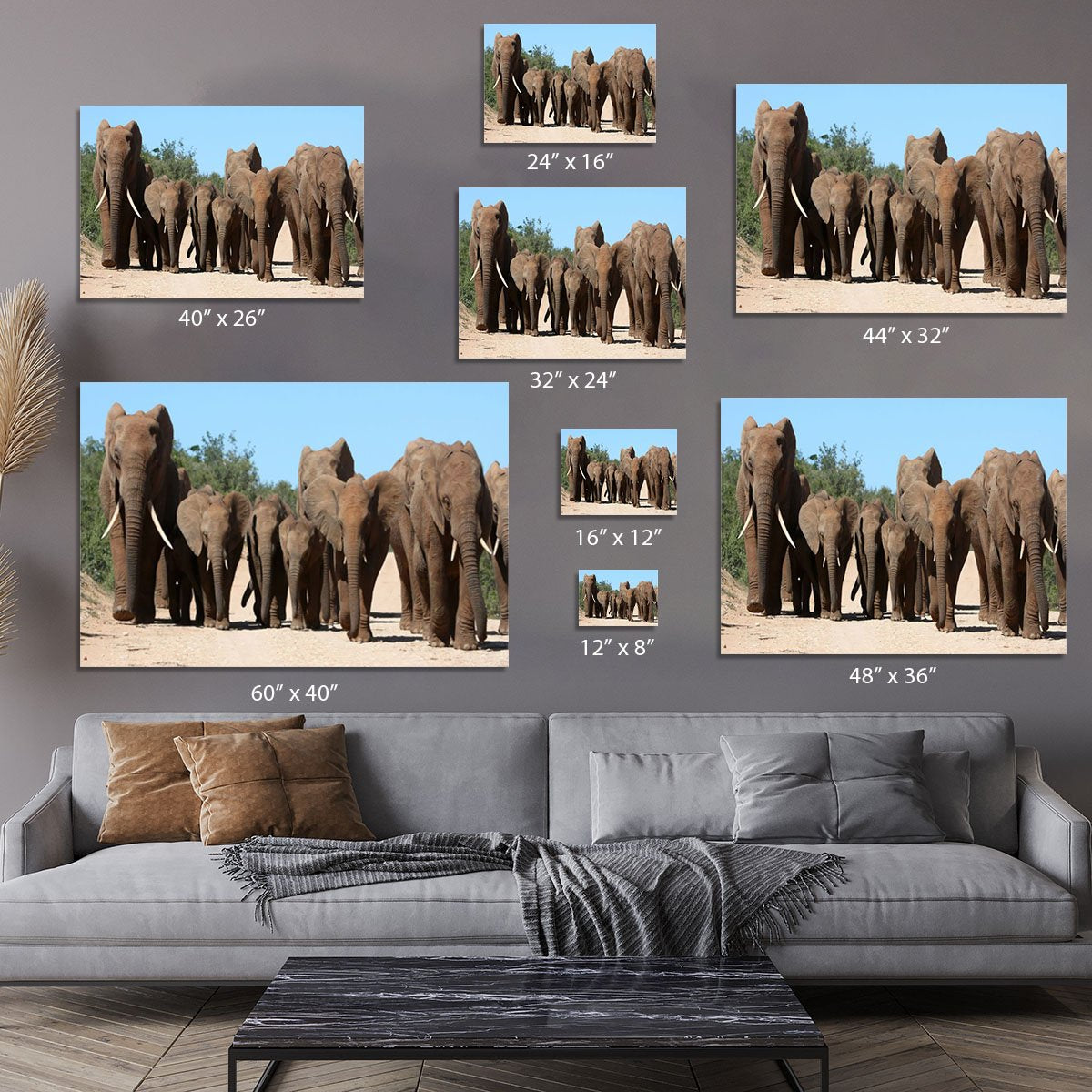 Family herd of African elephants on the move Canvas Print or Poster