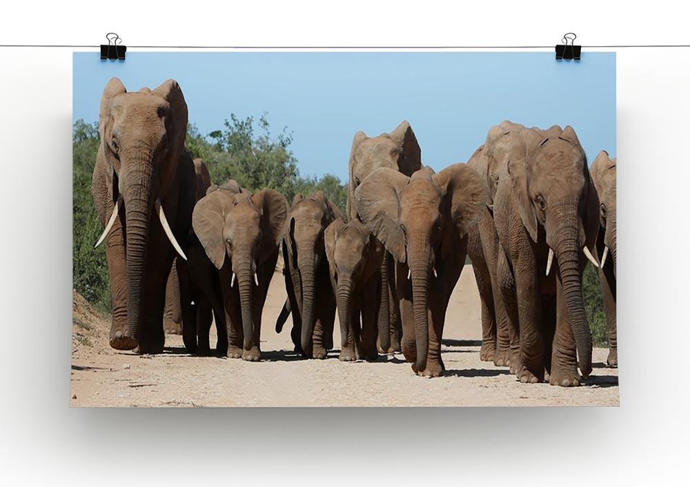 Family herd of African elephants on the move Canvas Print or Poster - Canvas Art Rocks - 2