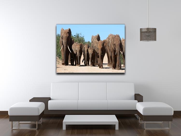 Family herd of African elephants on the move Canvas Print or Poster - Canvas Art Rocks - 4