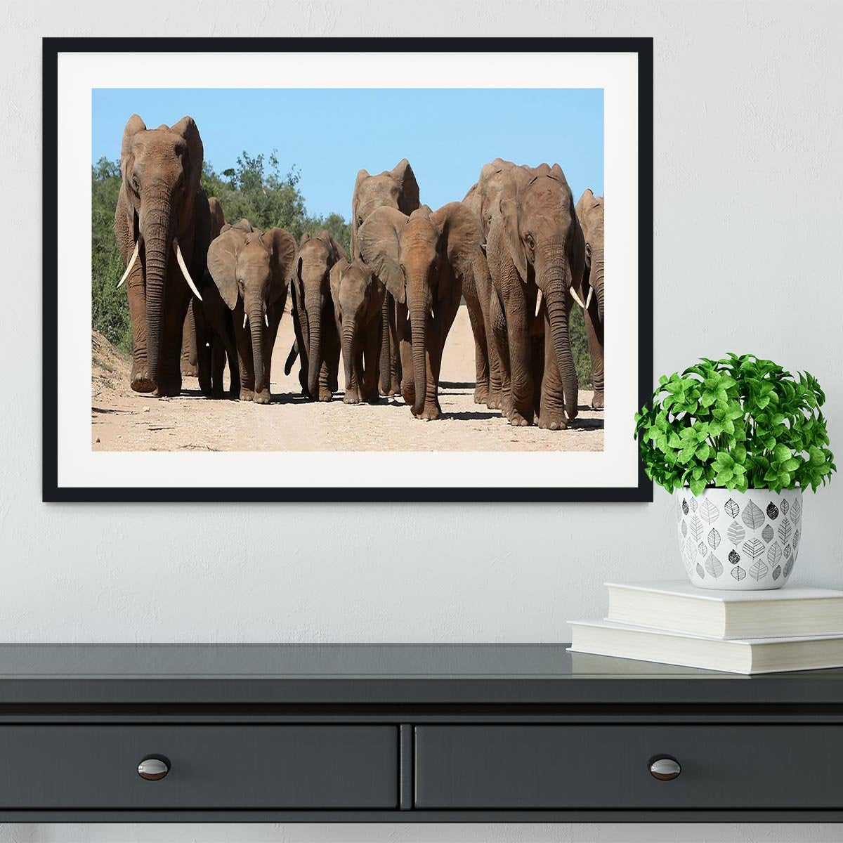 Family herd of African elephants on the move Framed Print - Canvas Art Rocks - 1