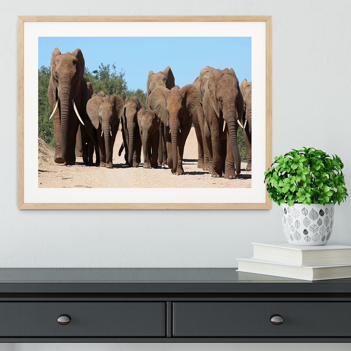 Family herd of African elephants on the move Framed Print - Canvas Art Rocks - 3
