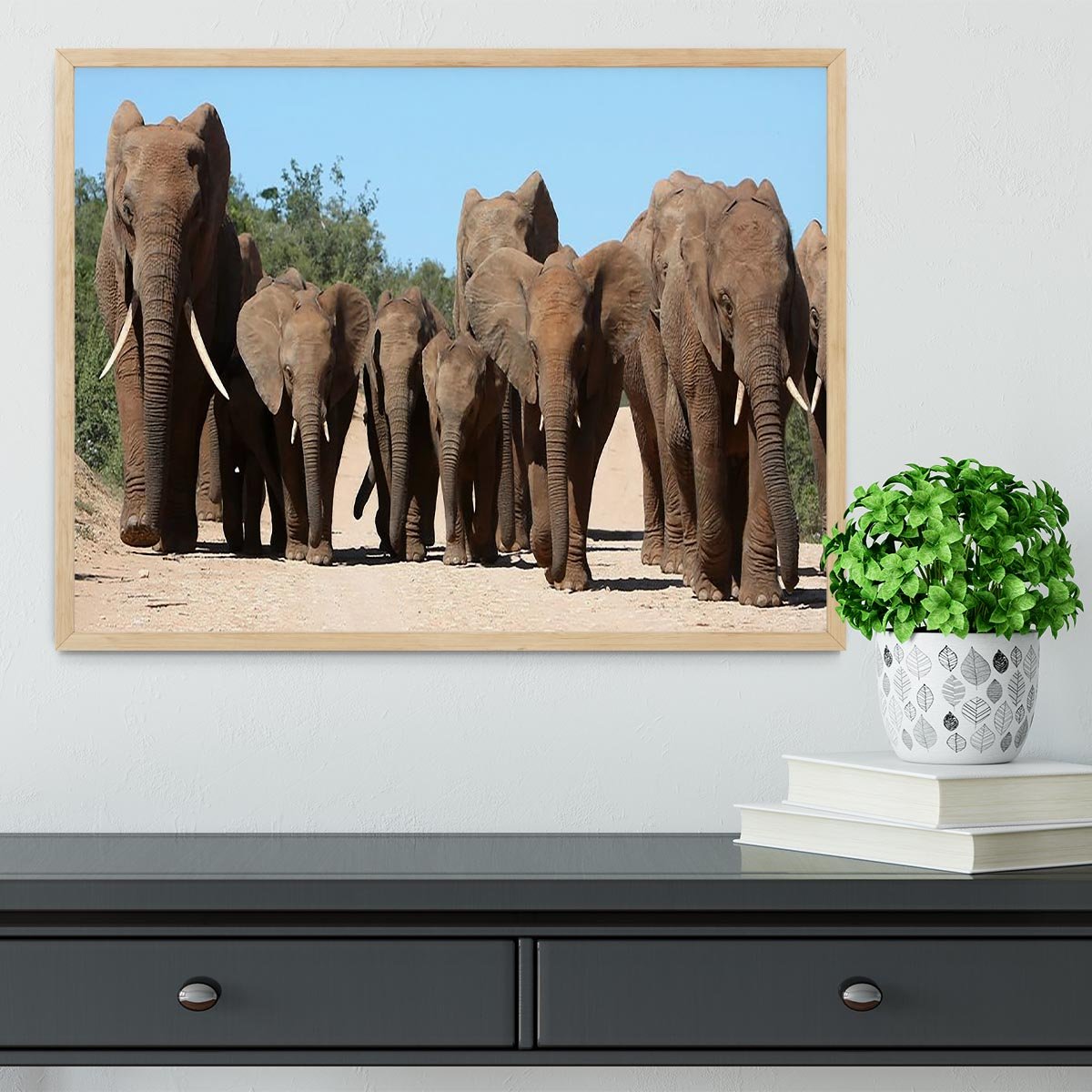Family herd of African elephants on the move Framed Print - Canvas Art Rocks - 4