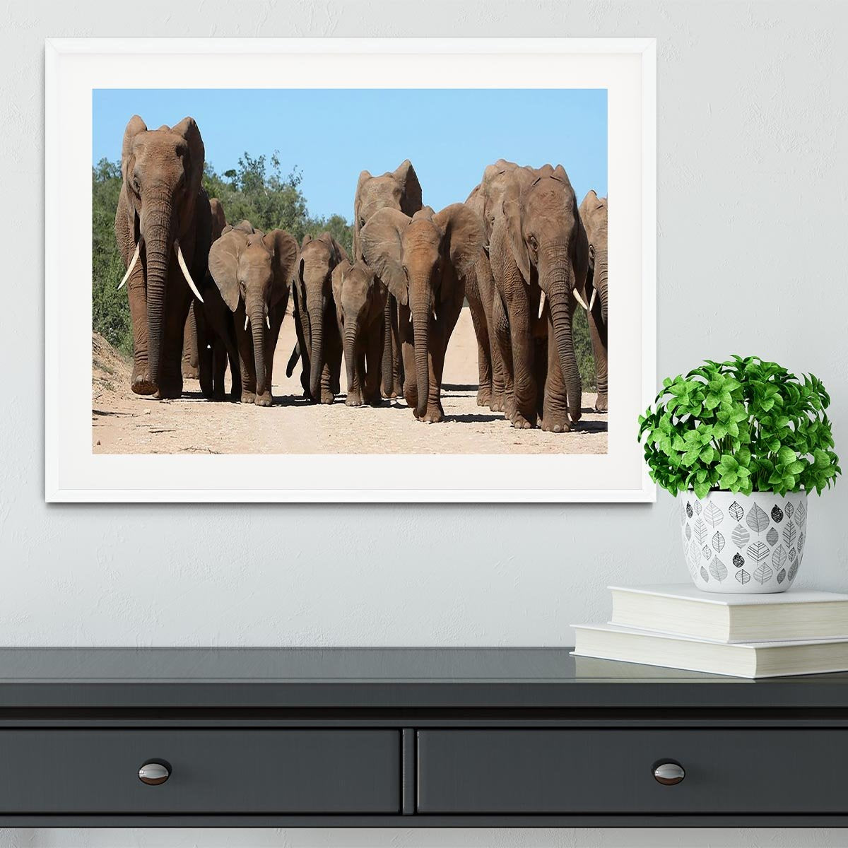 Family herd of African elephants on the move Framed Print - Canvas Art Rocks - 5