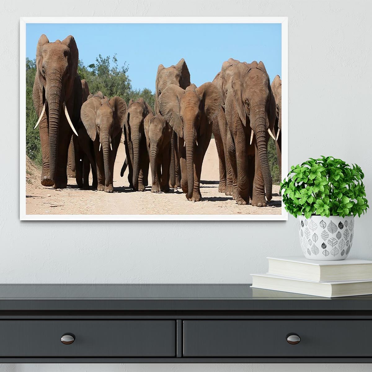Family herd of African elephants on the move Framed Print - Canvas Art Rocks -6