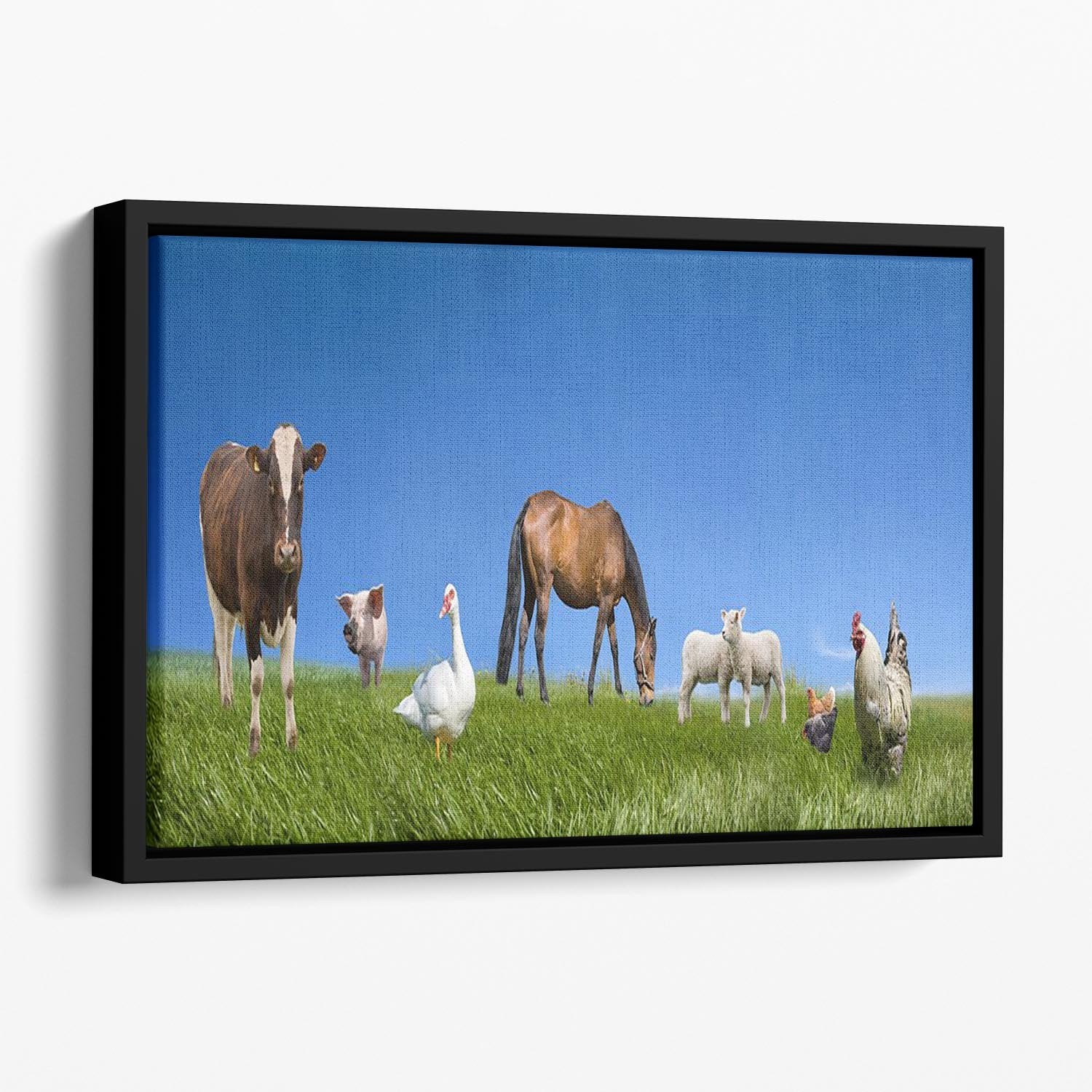 Farm animals collection Floating Framed Canvas - Canvas Art Rocks - 1