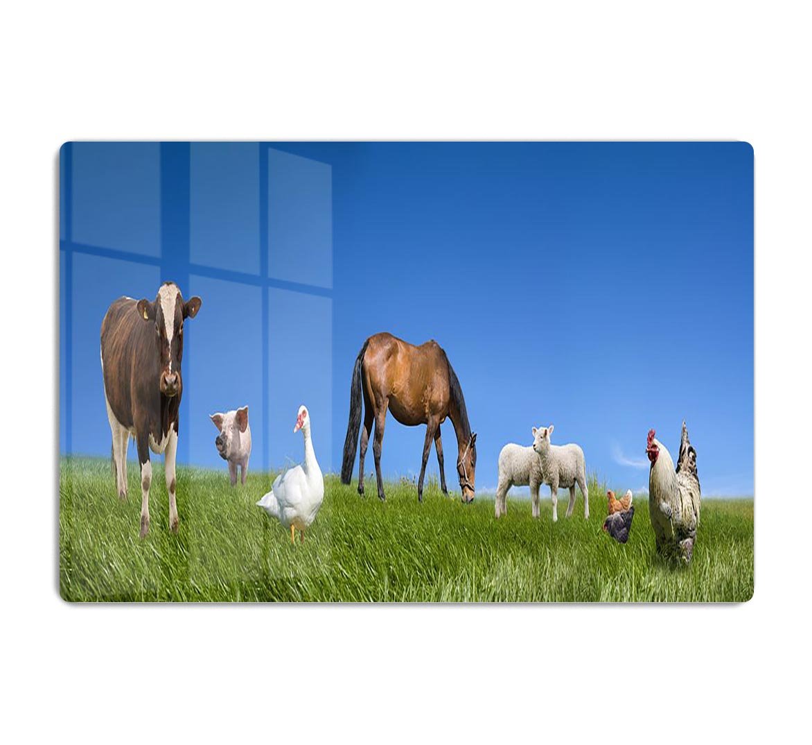 Farm animals collection HD Metal Print - Canvas Art Rocks - 1