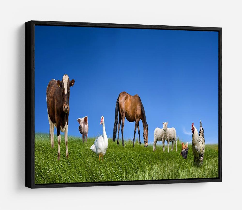 Farm animals collection HD Metal Print - Canvas Art Rocks - 6