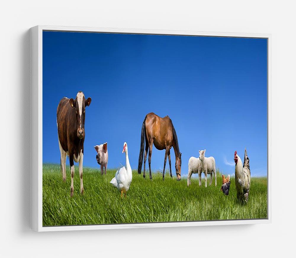Farm animals collection HD Metal Print - Canvas Art Rocks - 7