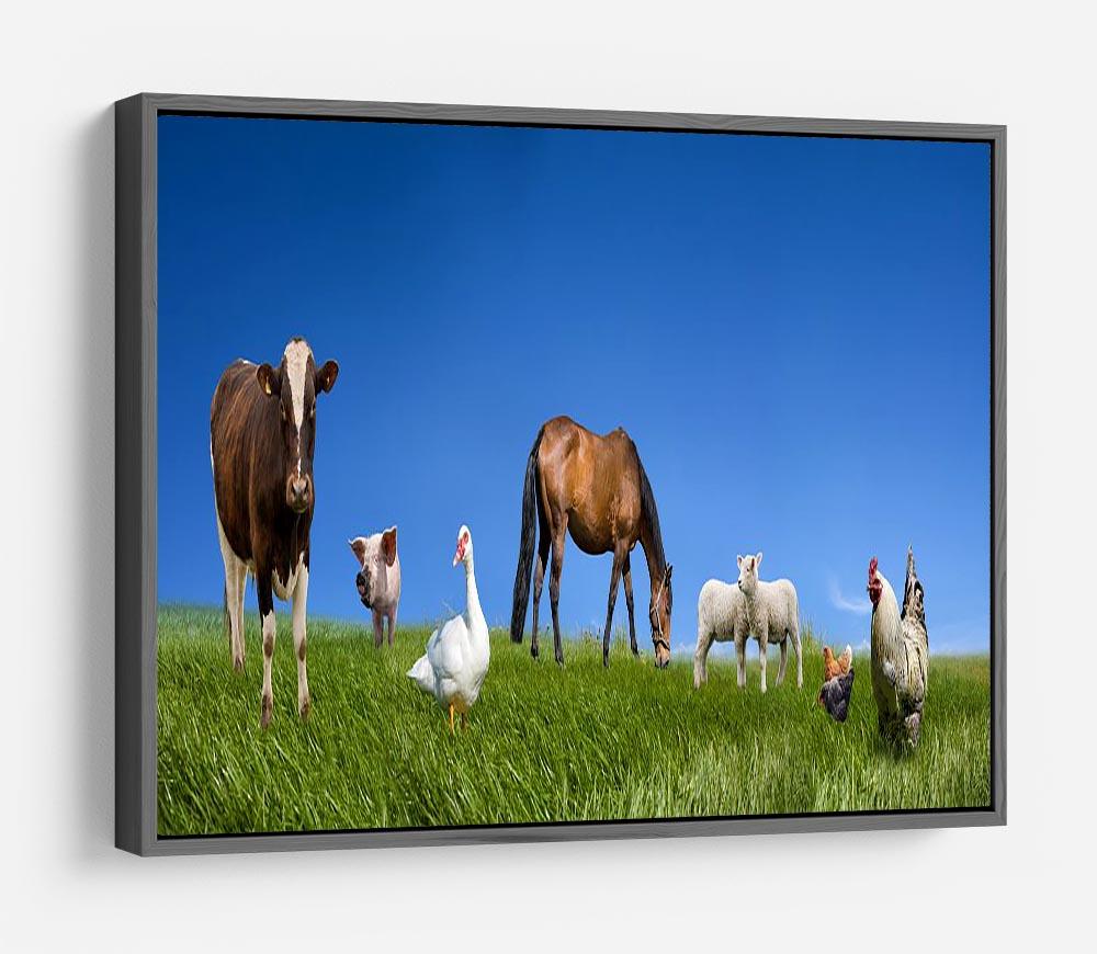 Farm animals collection HD Metal Print - Canvas Art Rocks - 9
