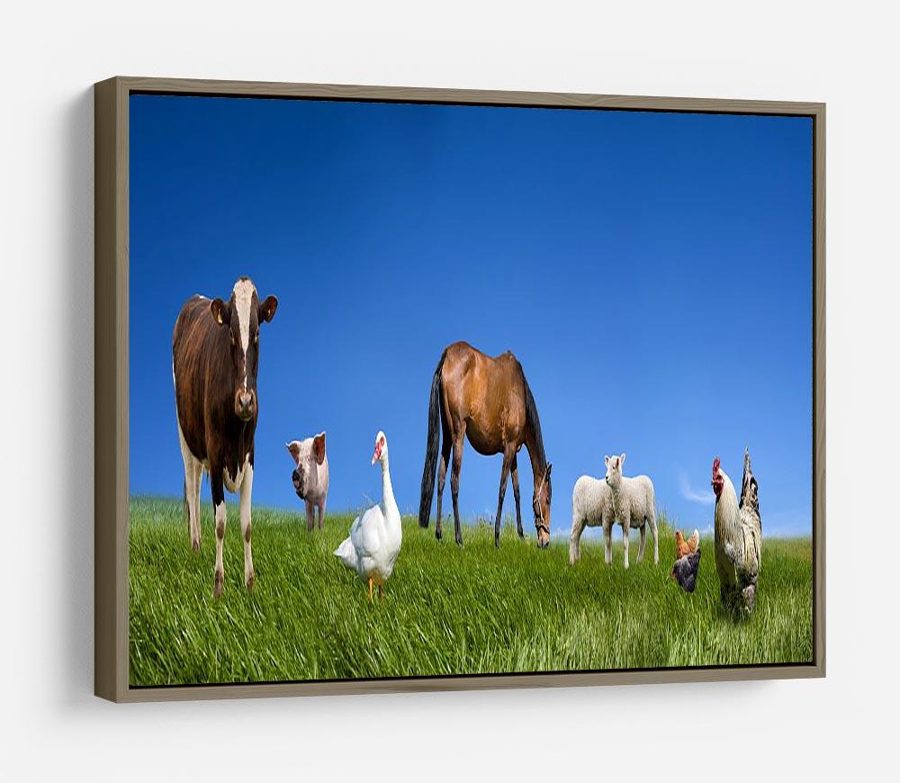 Farm animals collection HD Metal Print - Canvas Art Rocks - 10