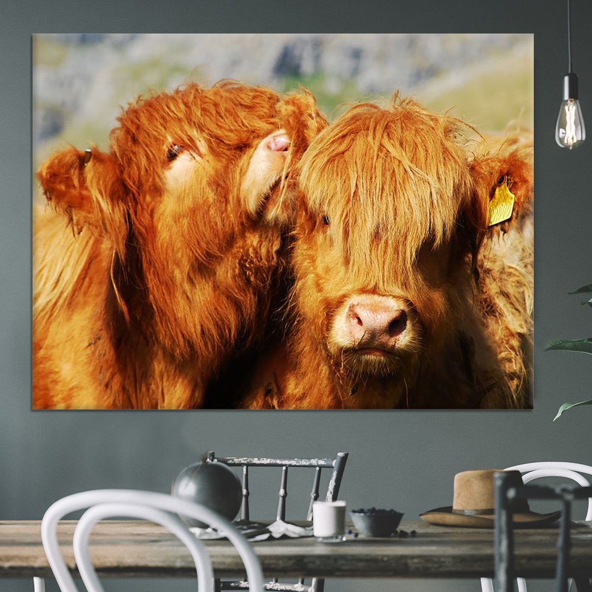Farm cows Canvas Print or Poster