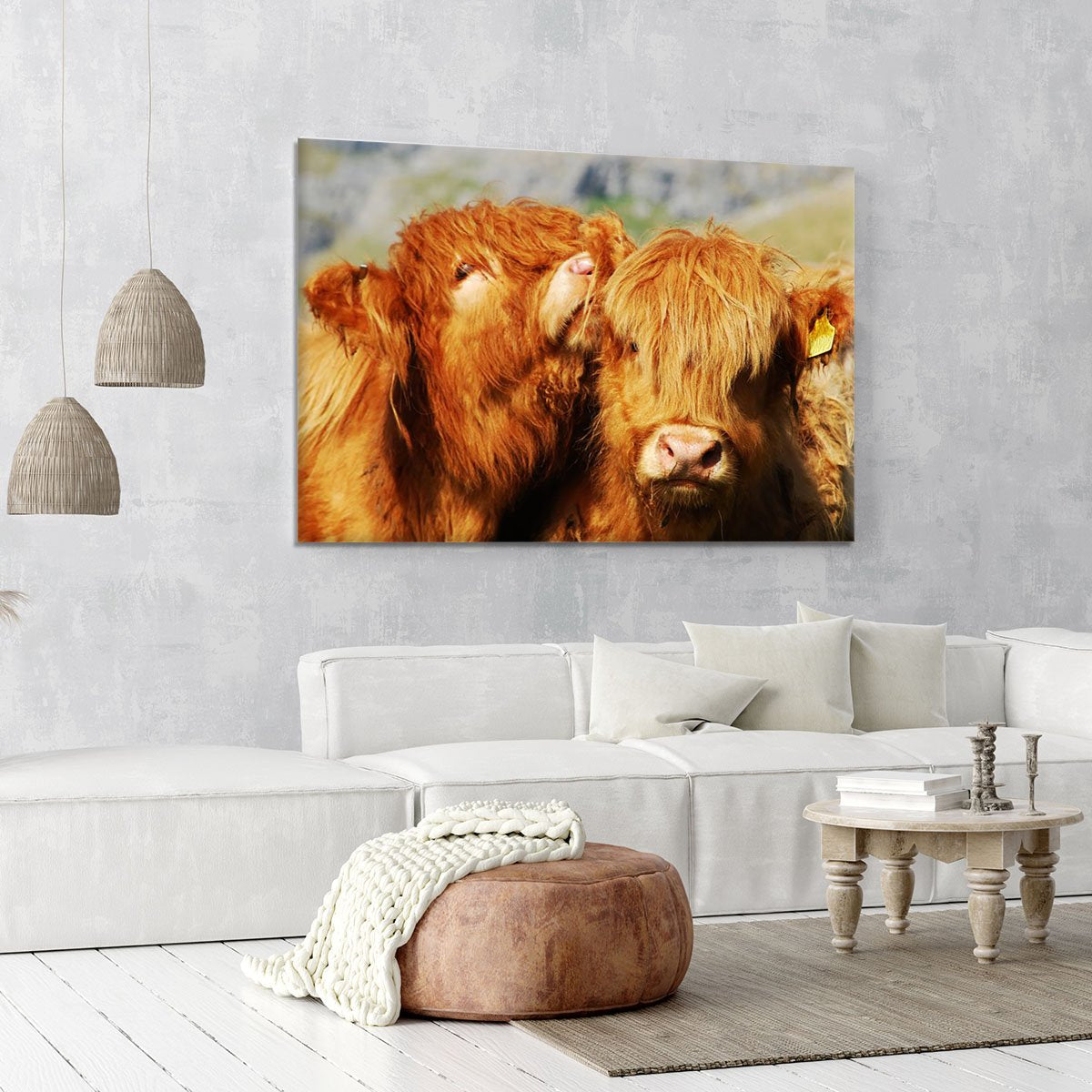 Farm cows Canvas Print or Poster