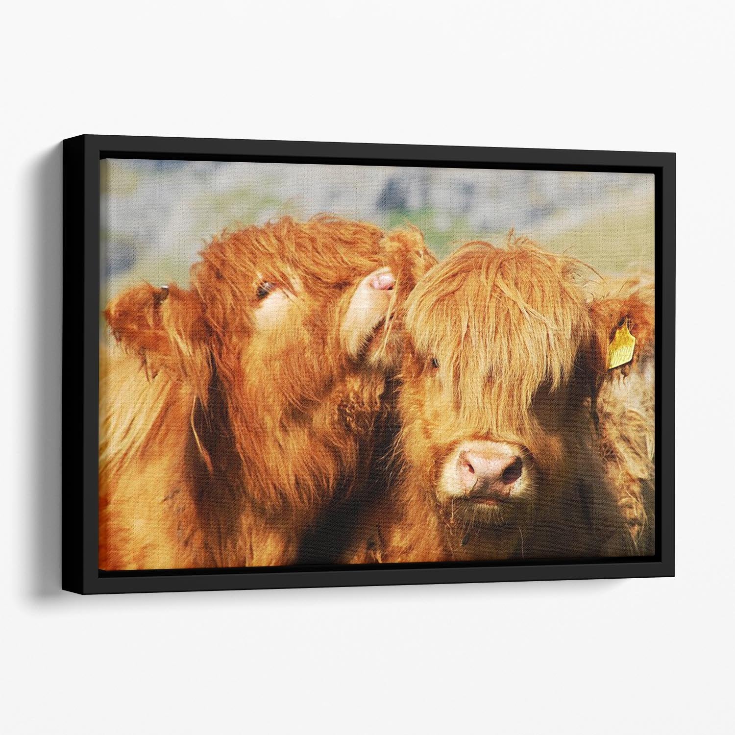 Farm cows Floating Framed Canvas - Canvas Art Rocks - 1