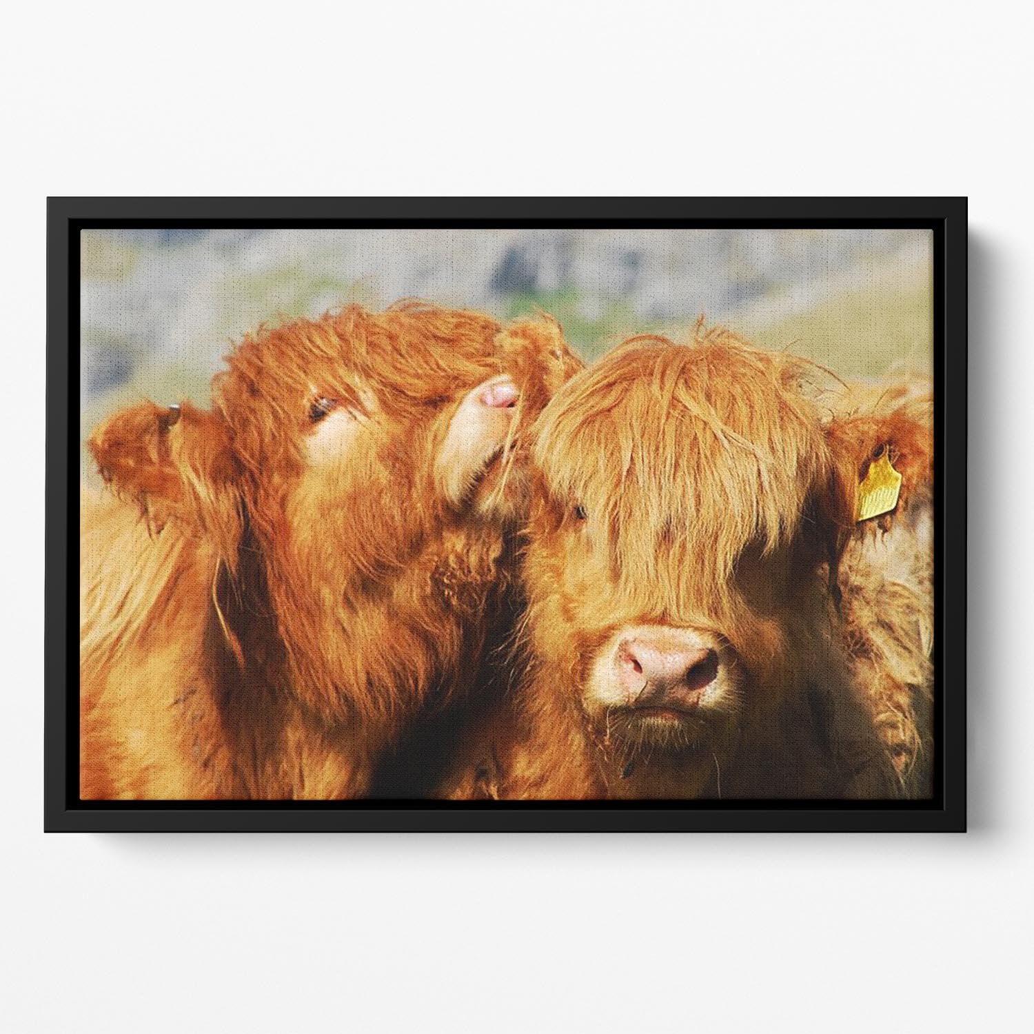 Farm cows Floating Framed Canvas - Canvas Art Rocks - 2