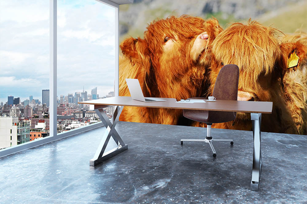 Farm cows Wall Mural Wallpaper - Canvas Art Rocks - 3