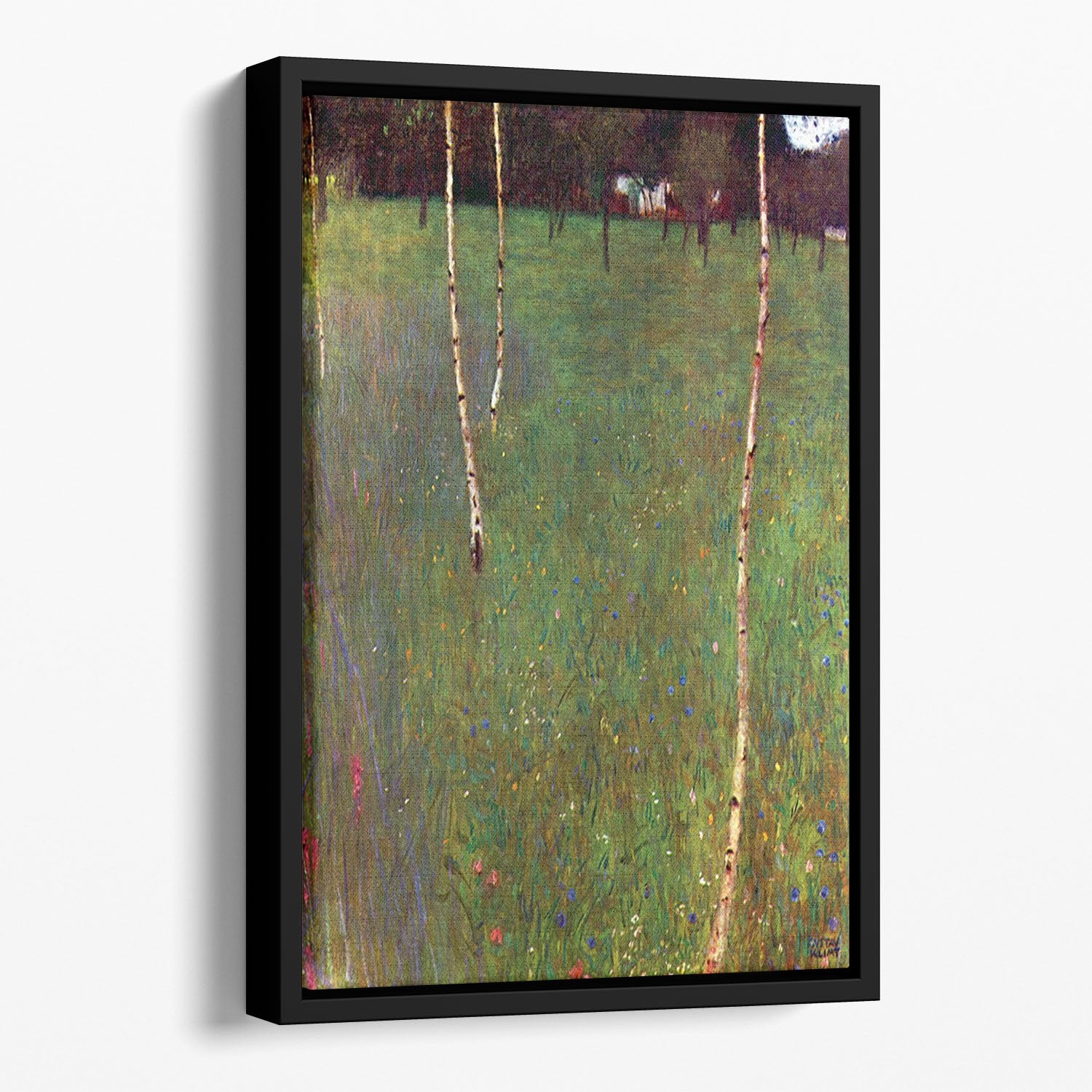Farmhouse by Klimt Floating Framed Canvas