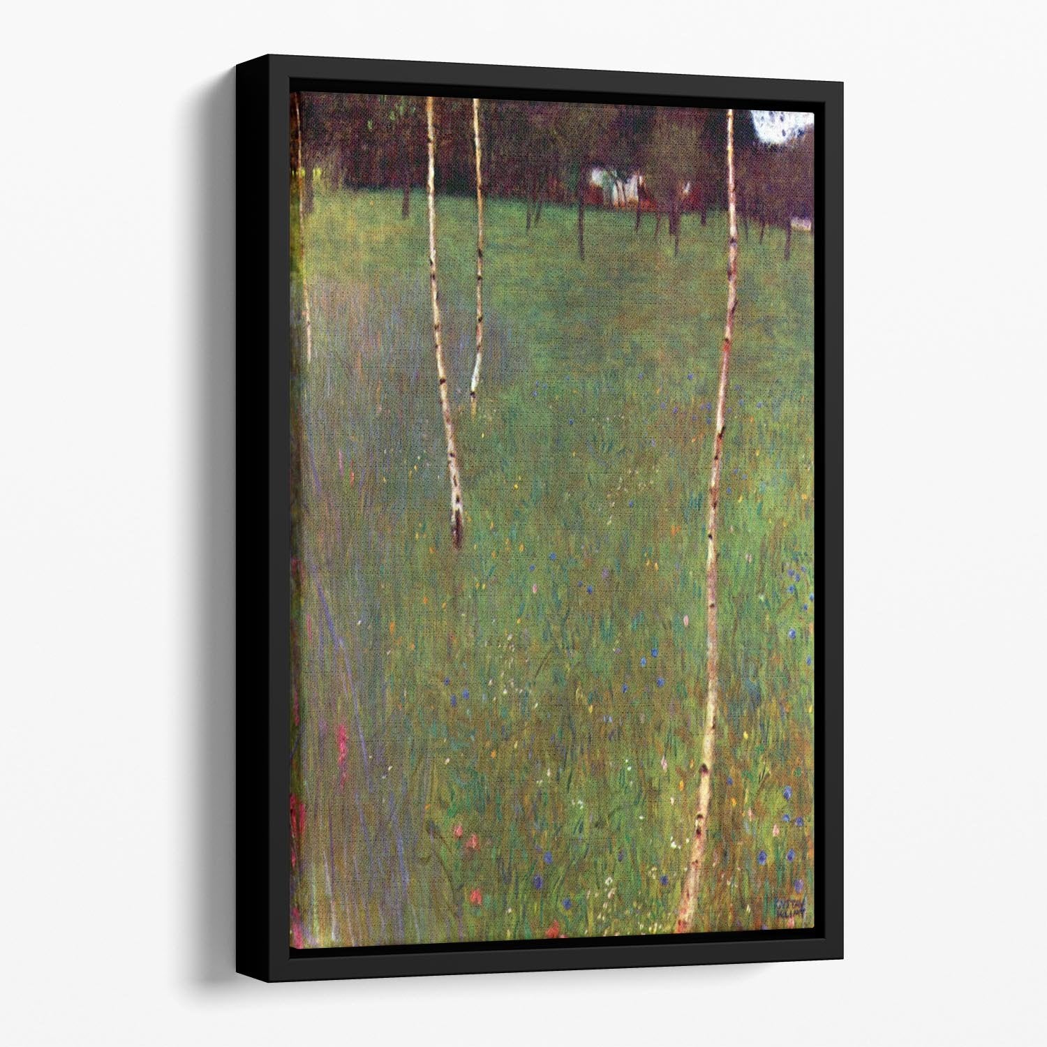 Farmhouse_lg by Klimt Floating Framed Canvas