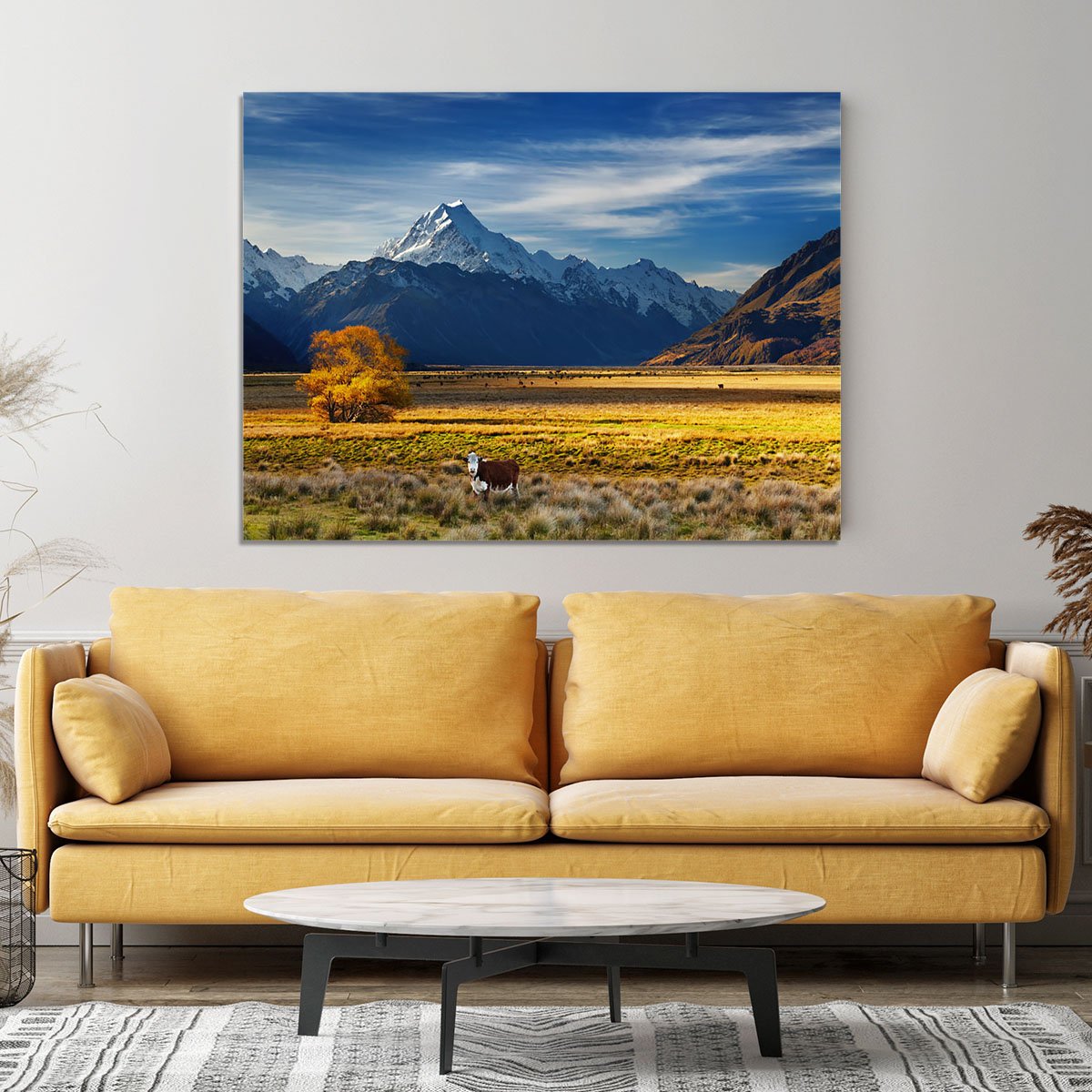Farmland with grazing cows and Mount Cook on background Canvas Print or Poster