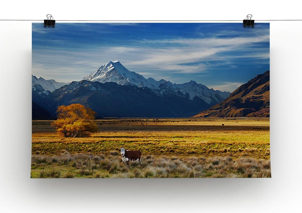 Farmland with grazing cows and Mount Cook on background Canvas Print or Poster - Canvas Art Rocks - 2