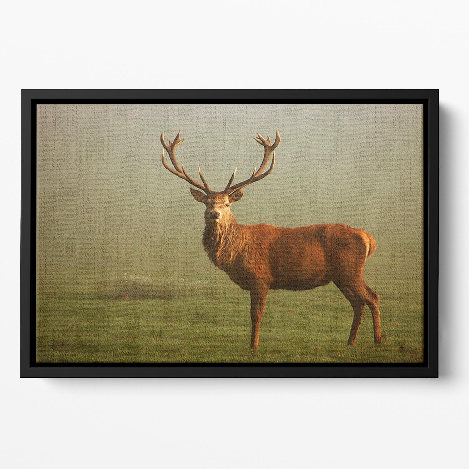 Fawn Floating Framed Canvas - Canvas Art Rocks - 2