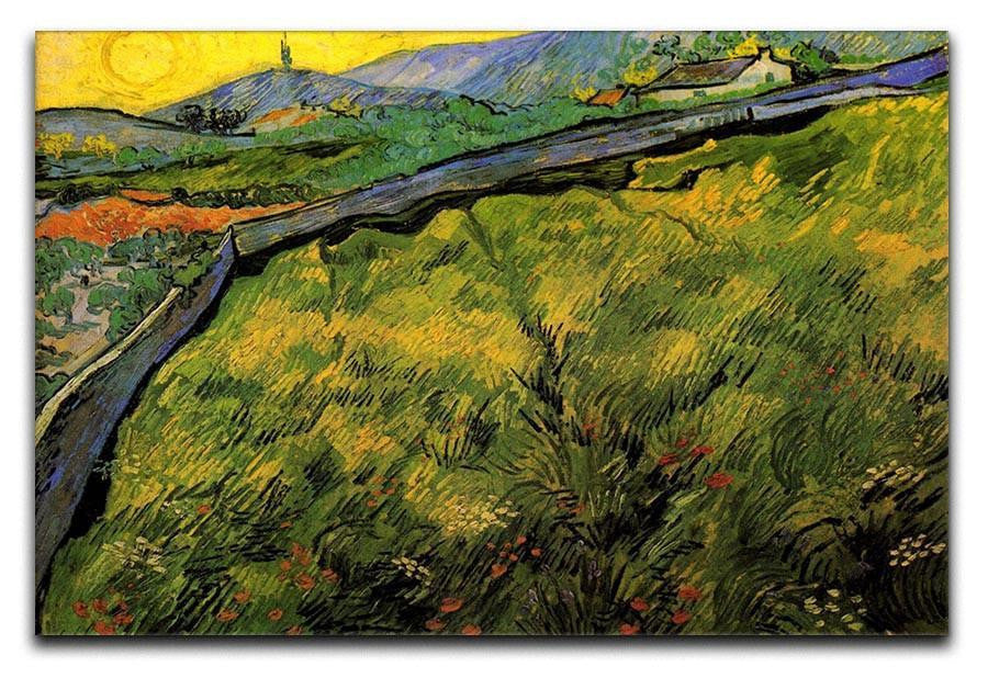 Field of Spring Wheat at Sunrise by Van Gogh Canvas Print & Poster  - Canvas Art Rocks - 1