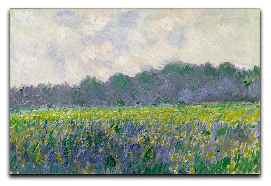 Field of Yellow Irises by Monet Canvas Print & Poster  - Canvas Art Rocks - 1