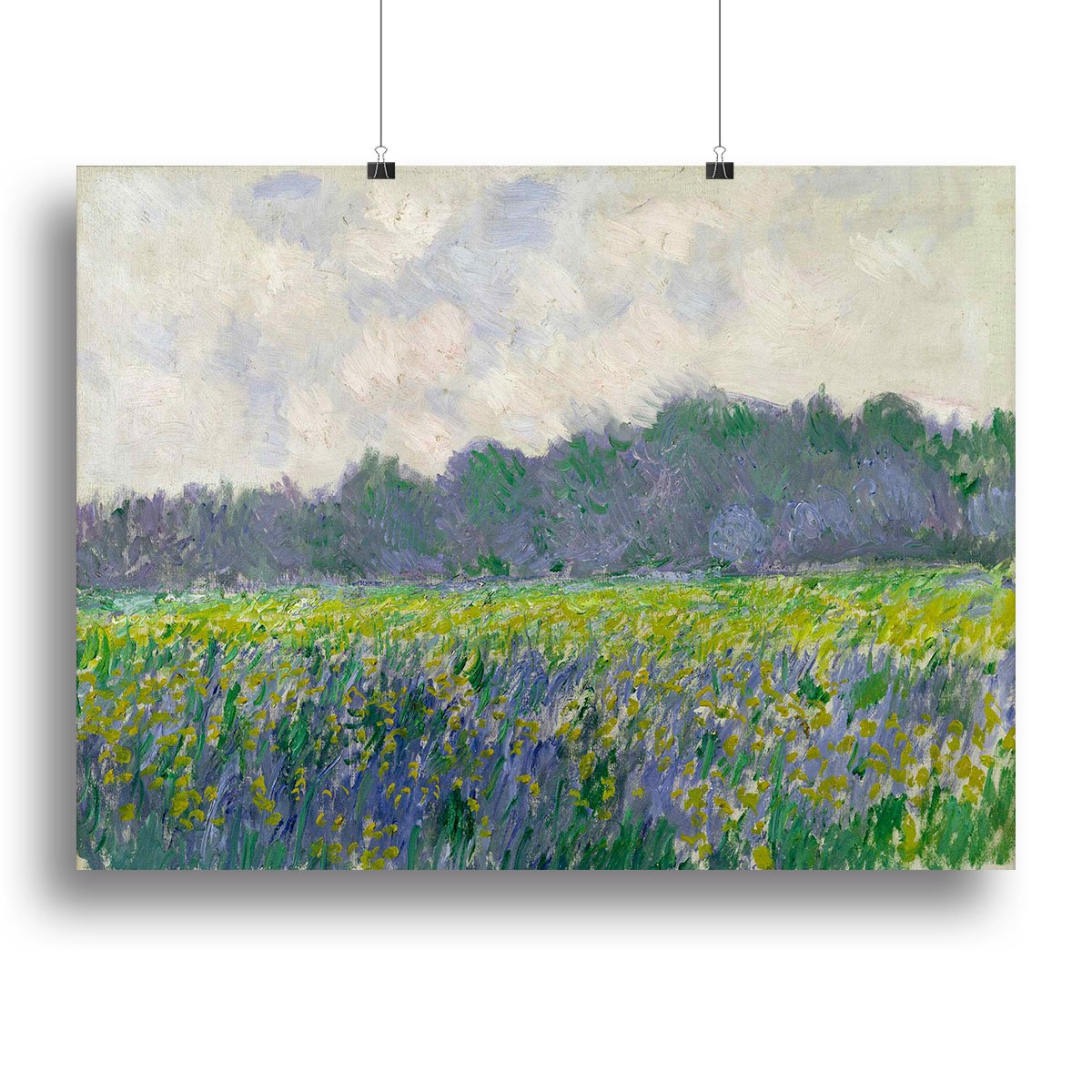 Field of Yellow Irises by Monet Canvas Print or Poster
