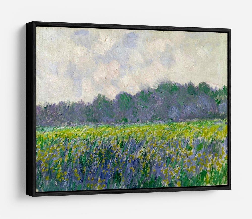 Field of Yellow Irises by Monet HD Metal Print