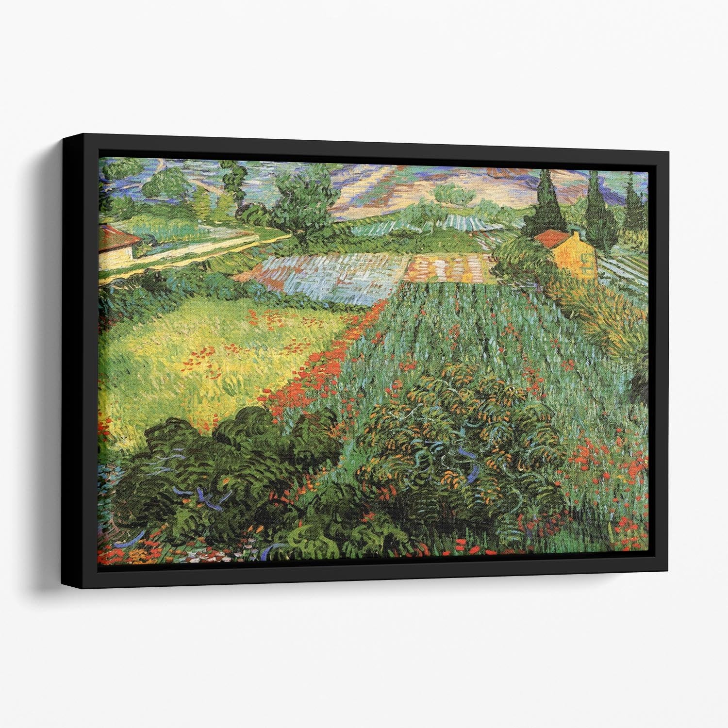 Field with Poppies by Van Gogh Floating Framed Canvas