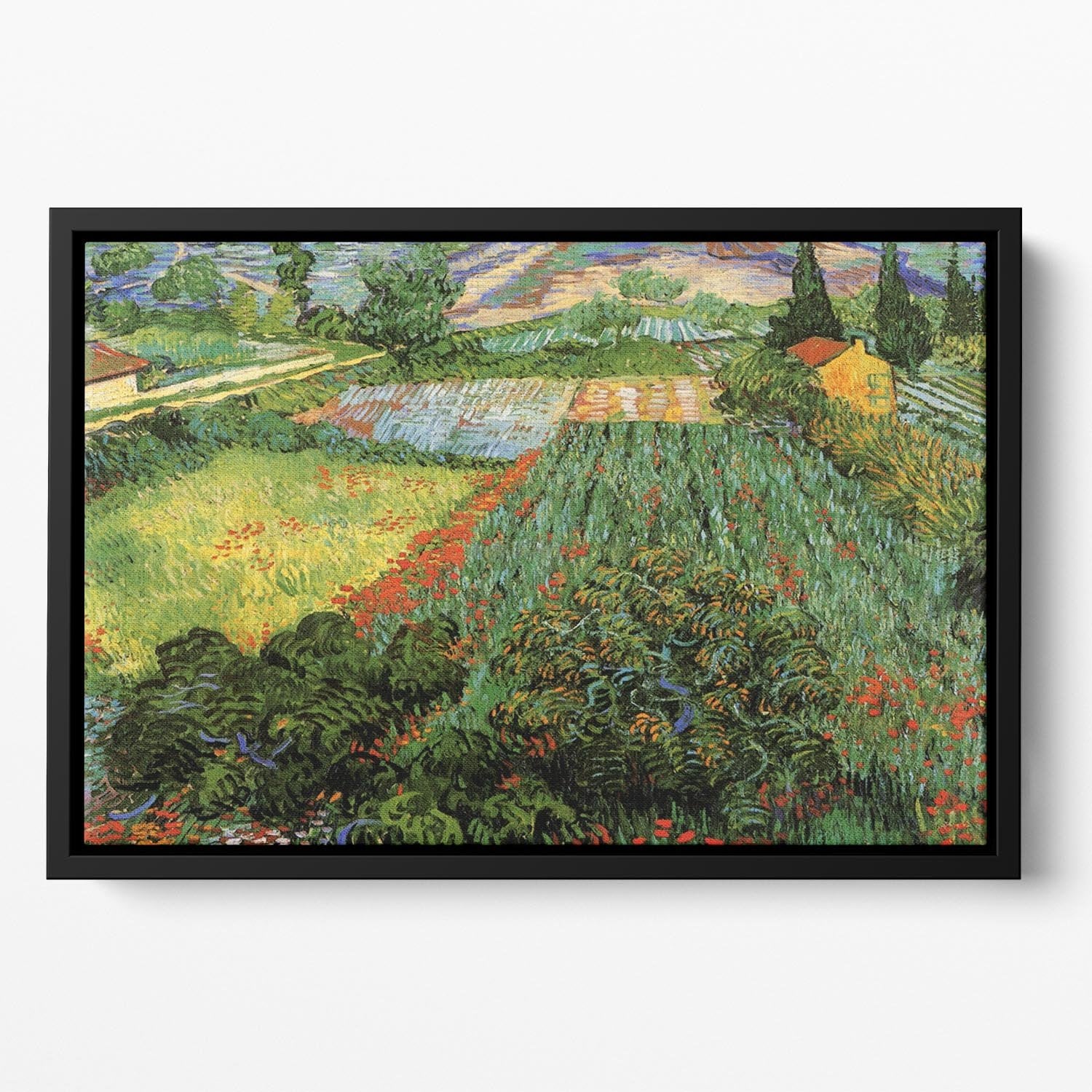 Field with Poppies by Van Gogh Floating Framed Canvas