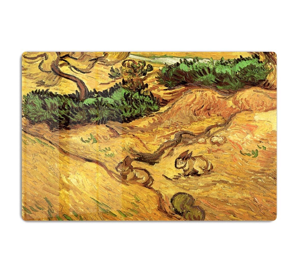Field with Two Rabbits by Van Gogh HD Metal Print