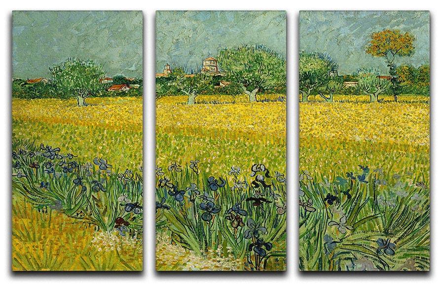 Field with flowers near Arles 3 Split Panel Canvas Print - Canvas Art Rocks - 4