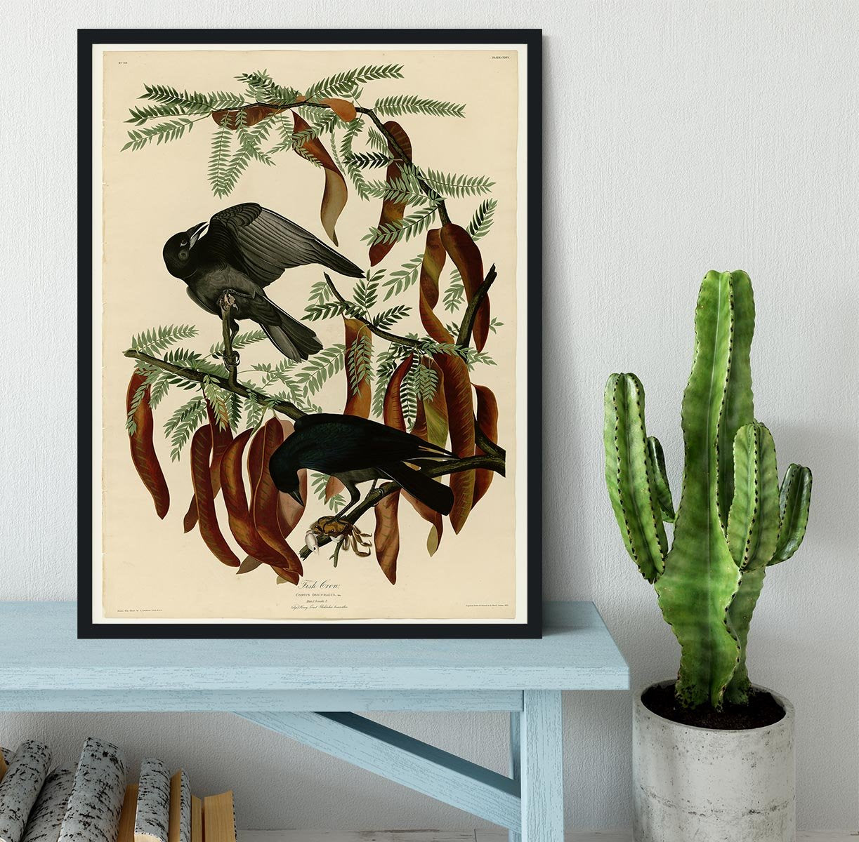 Fish Crow by Audubon Framed Print - Canvas Art Rocks - 2