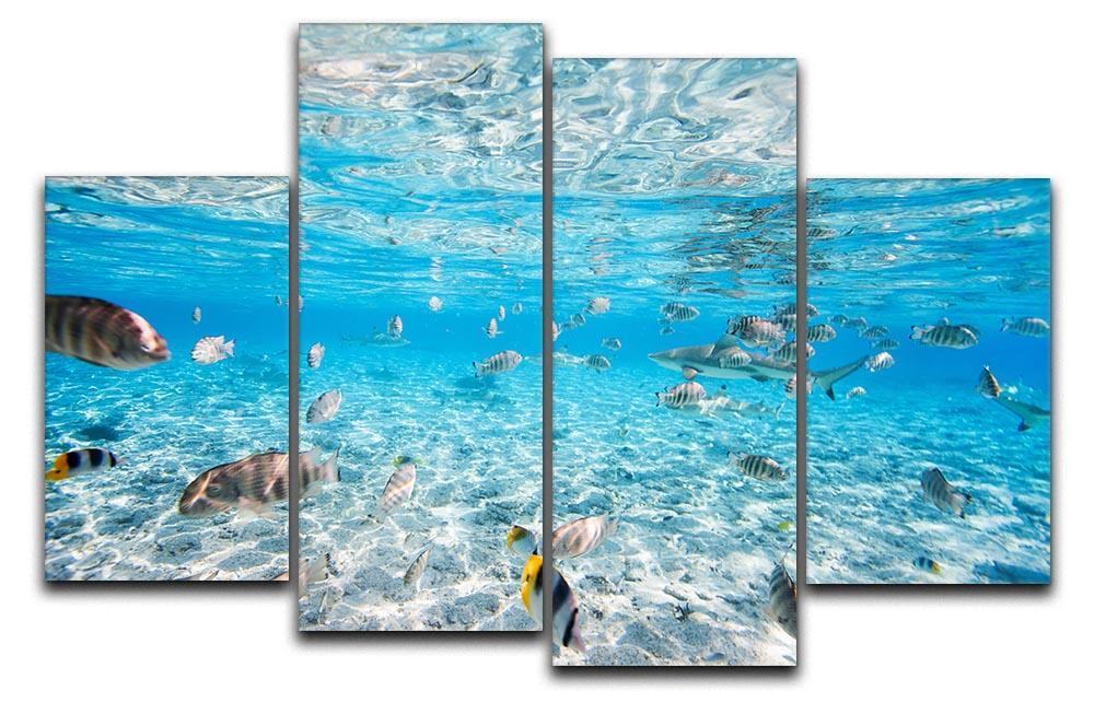 Fish and black tipped sharks 4 Split Panel Canvas  - Canvas Art Rocks - 1