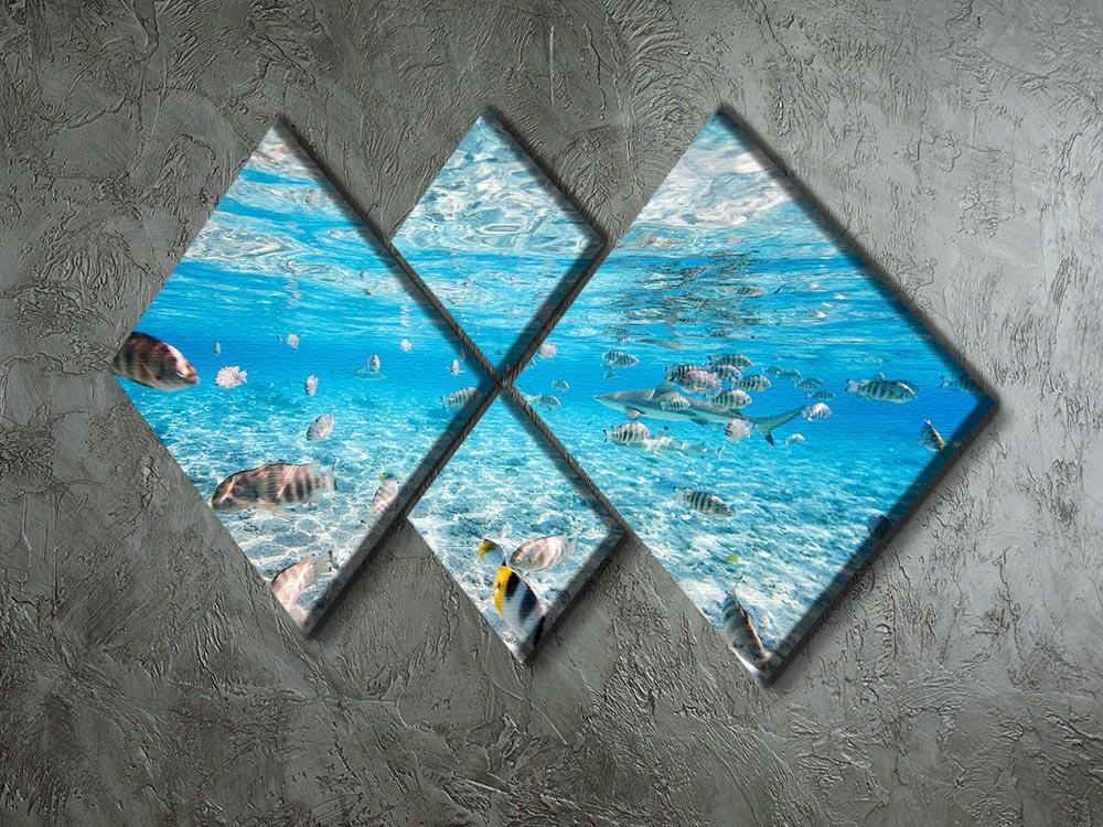 Fish and black tipped sharks 4 Square Multi Panel Canvas  - Canvas Art Rocks - 2