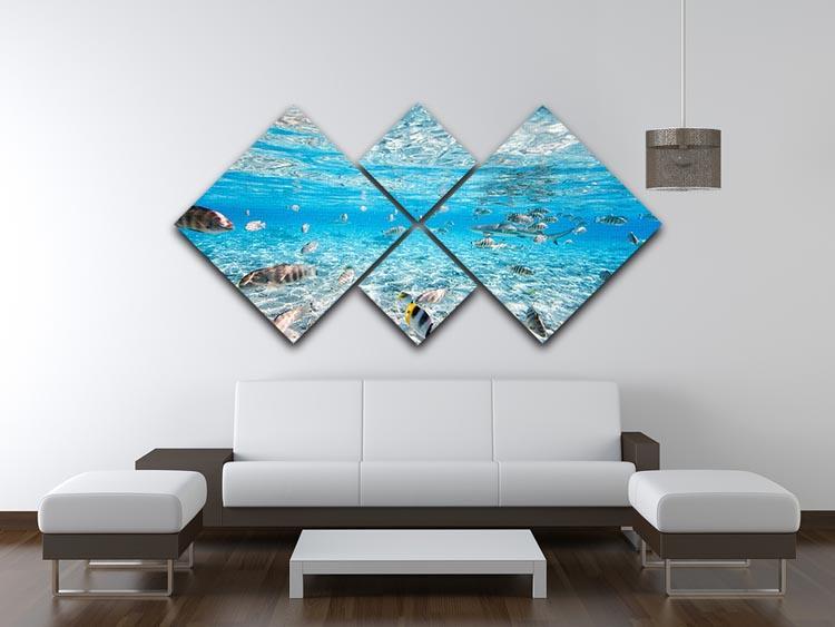 Fish and black tipped sharks 4 Square Multi Panel Canvas  - Canvas Art Rocks - 3