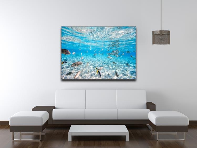 Fish and black tipped sharks Canvas Print or Poster - Canvas Art Rocks - 4