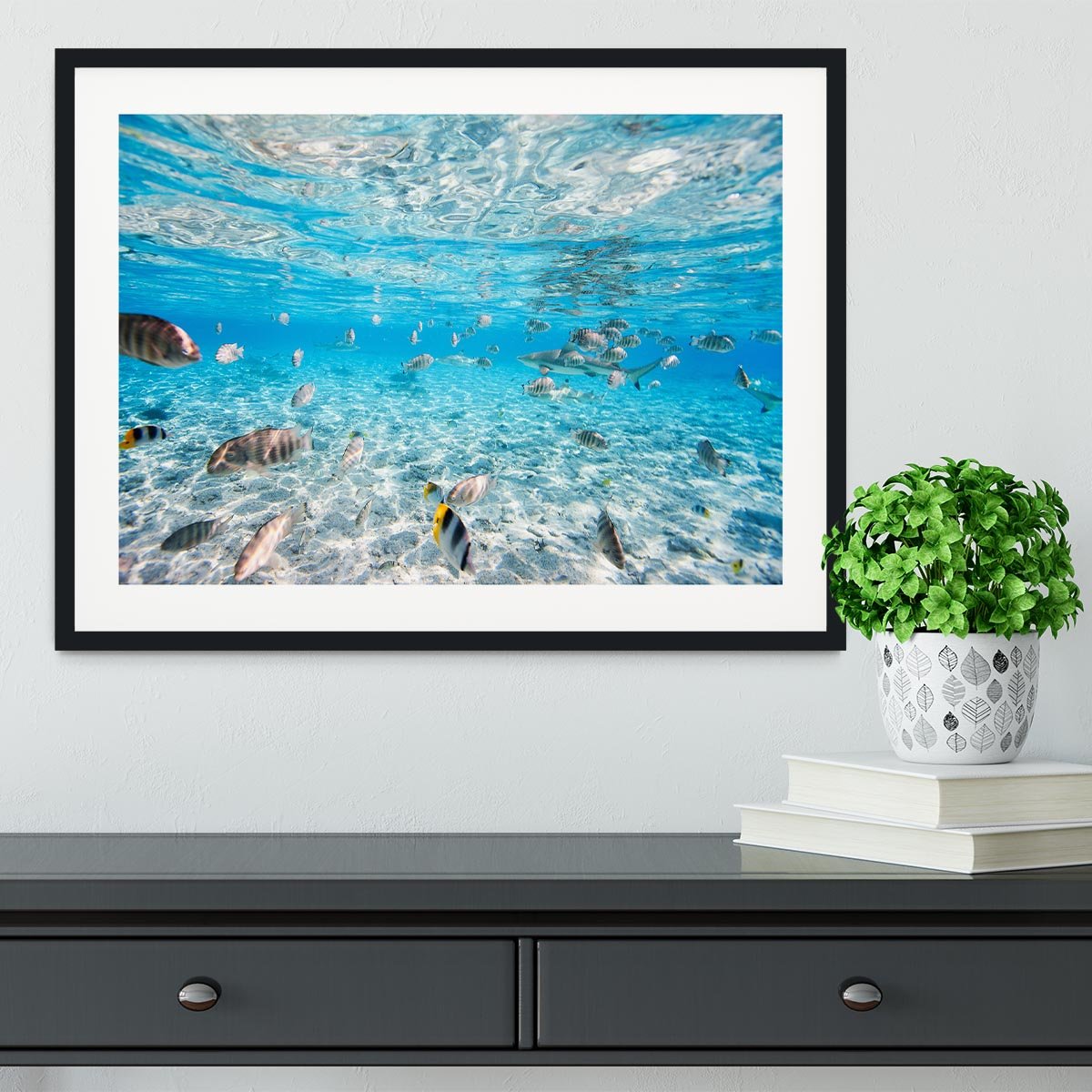 Fish and black tipped sharks Framed Print - Canvas Art Rocks - 1