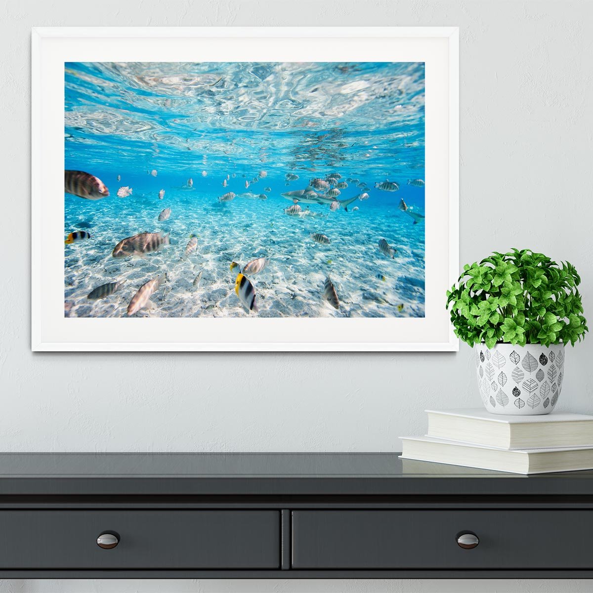 Fish and black tipped sharks Framed Print - Canvas Art Rocks - 5