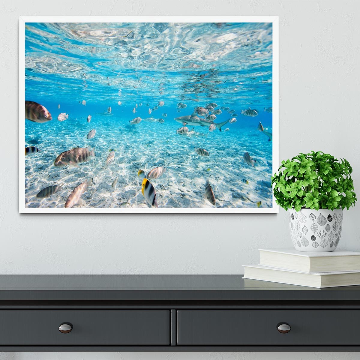 Fish and black tipped sharks Framed Print - Canvas Art Rocks -6