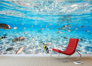 Fish and black tipped sharks Wall Mural Wallpaper - Canvas Art Rocks - 3