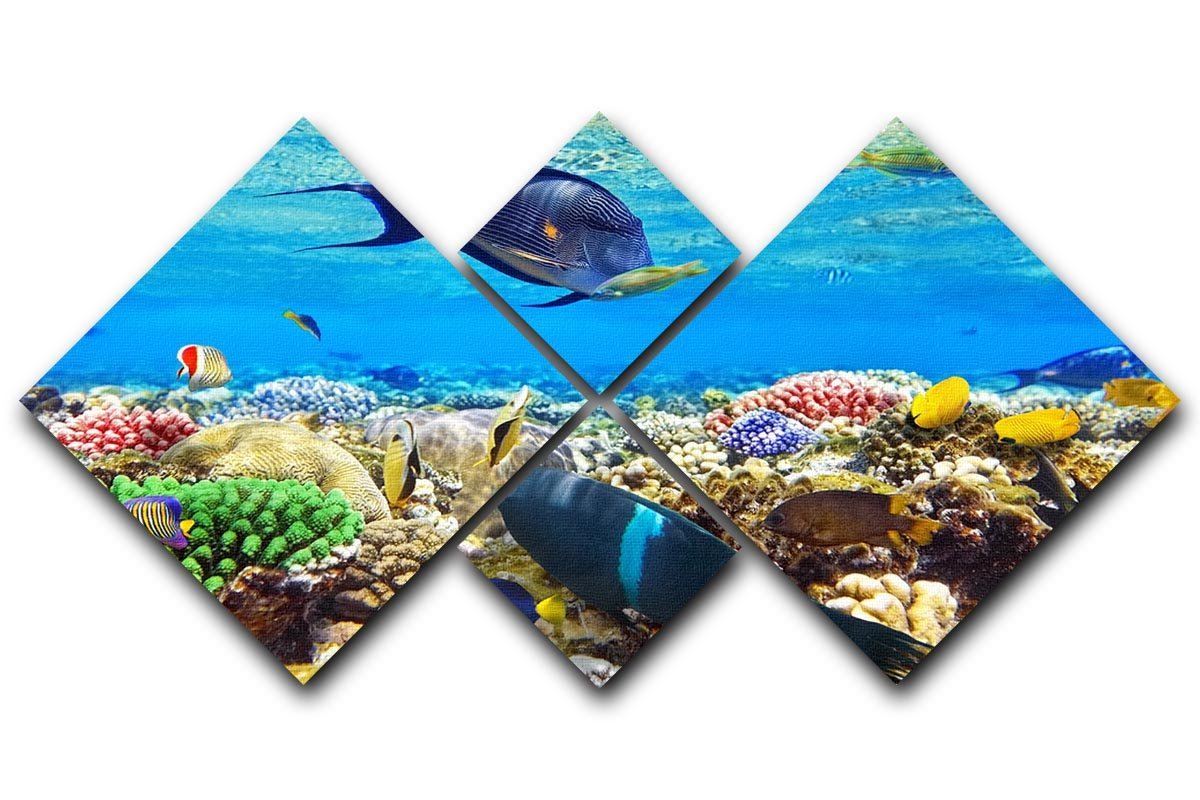 Fish in the Red Sea 4 Square Multi Panel Canvas  - Canvas Art Rocks - 1
