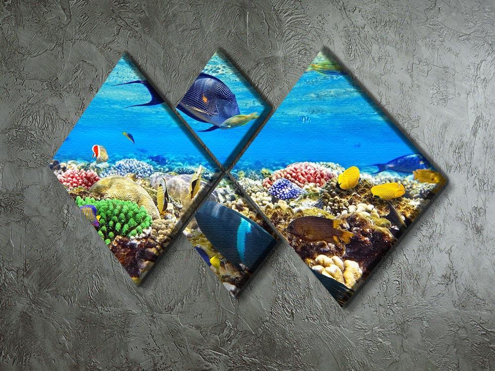 Fish in the Red Sea 4 Square Multi Panel Canvas  - Canvas Art Rocks - 2